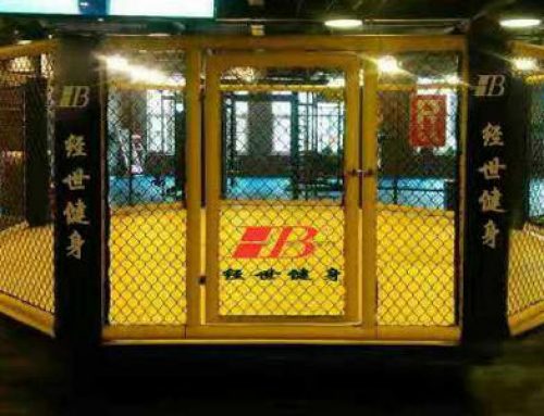 MMA Cage